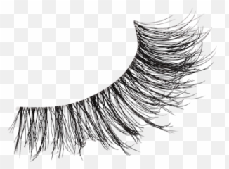 Iu2022envy - 1 Premium Natural Hair Lashes Guaranteed By Eyelash Extensions Png,Eye Lash Png