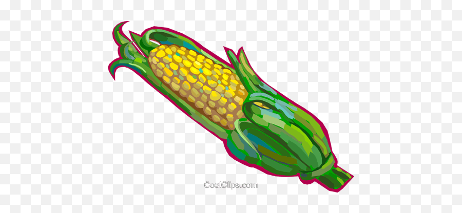 Cob Of Corn Royalty Free Vector Clip Art Illustration - Épluchette De Blé D Inde Png,Corn Cob Png