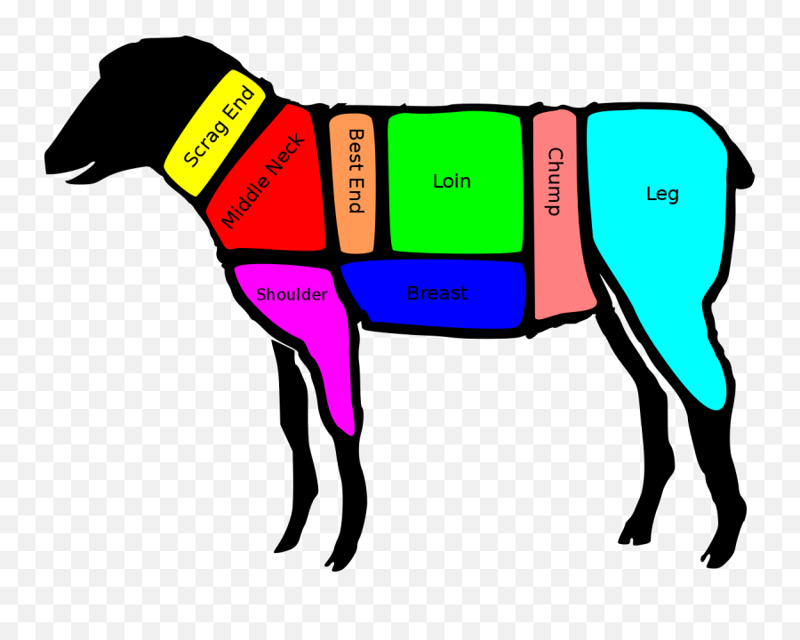 British Lamb Cuts - Primal Cuts Of Lamb Png,Cuts Png