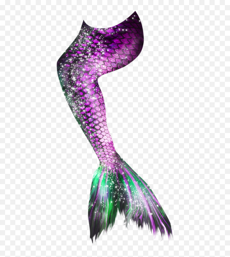 Mermaid Tail 18 Png - Photo 516 Free Png Download Image Transparent Png Mermaid Tail Png,Mermaid Png