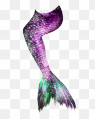 Mermaid Tail 18 Png - Photo 516 Free Png Download Image Transparent Png Mermaid Tail Png,Mermaid Png