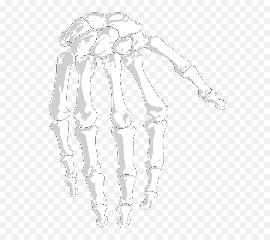 Hand Human Bones - Please Take One Halloween Sign Png,Skeleton Hand Png