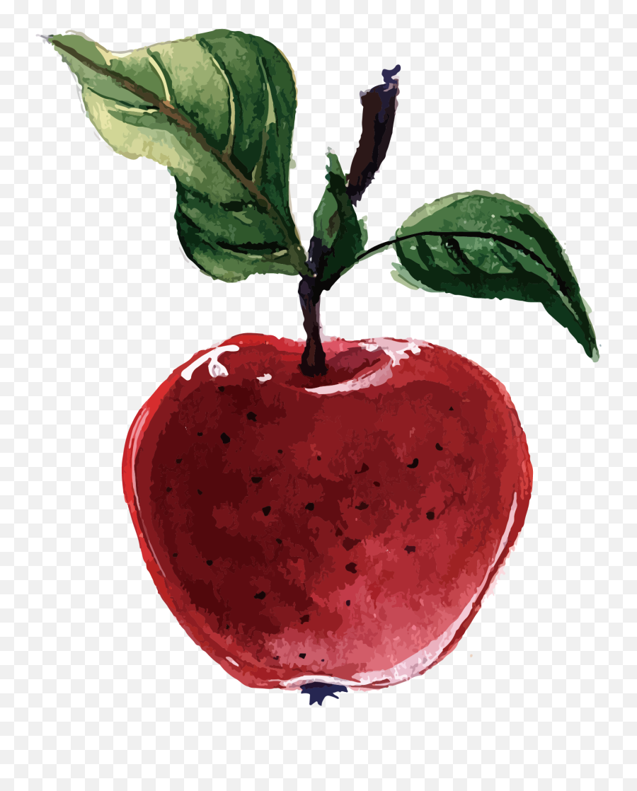 Plant - Apple Illustration Png,Diet Png