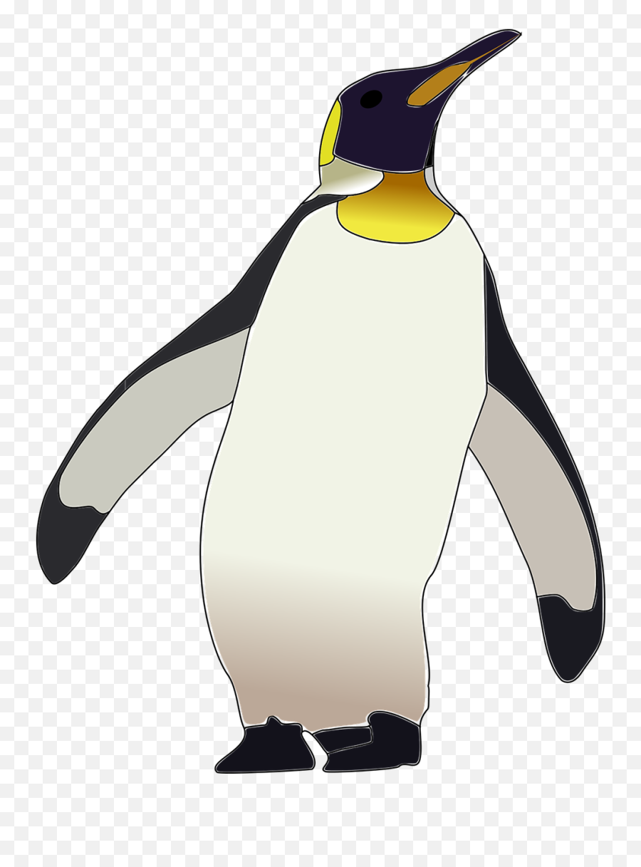 Pin By S Wigand - Penguin Clipart Transparent Background Png,Penguin Transparent