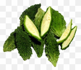 Bitter Melon Png Images - Bitter Gourd Images In Png,Melon Png