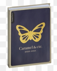 Diary Blue Butterfly - Milkweed Butterflies Png,Gold Butterfly Png