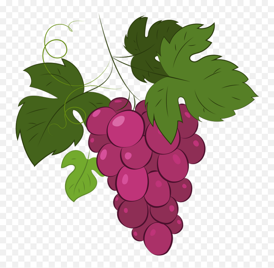 Grape Clipart Free Download Transparent Png Creazilla - Grape Clipart,Grapes Transparent