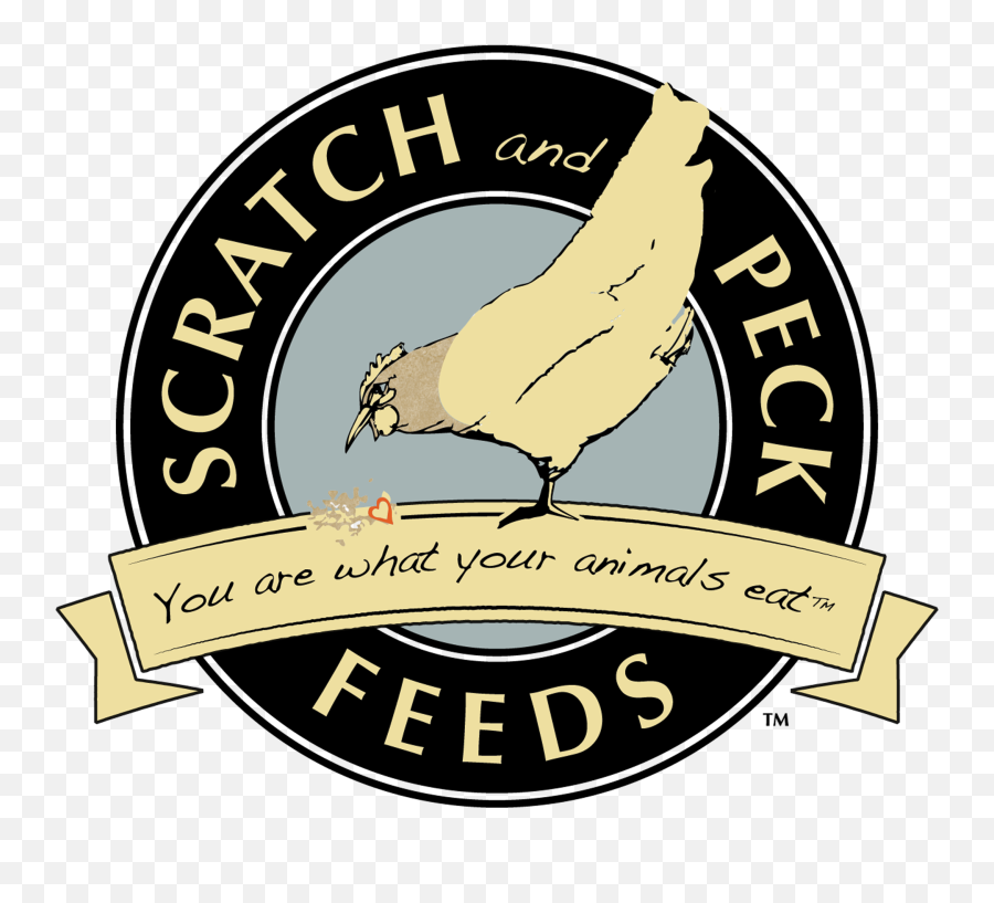 Download About Scratch And Peck Feeds - Scratch And Peck Scratch And Peck Png,Scratch Logo Png