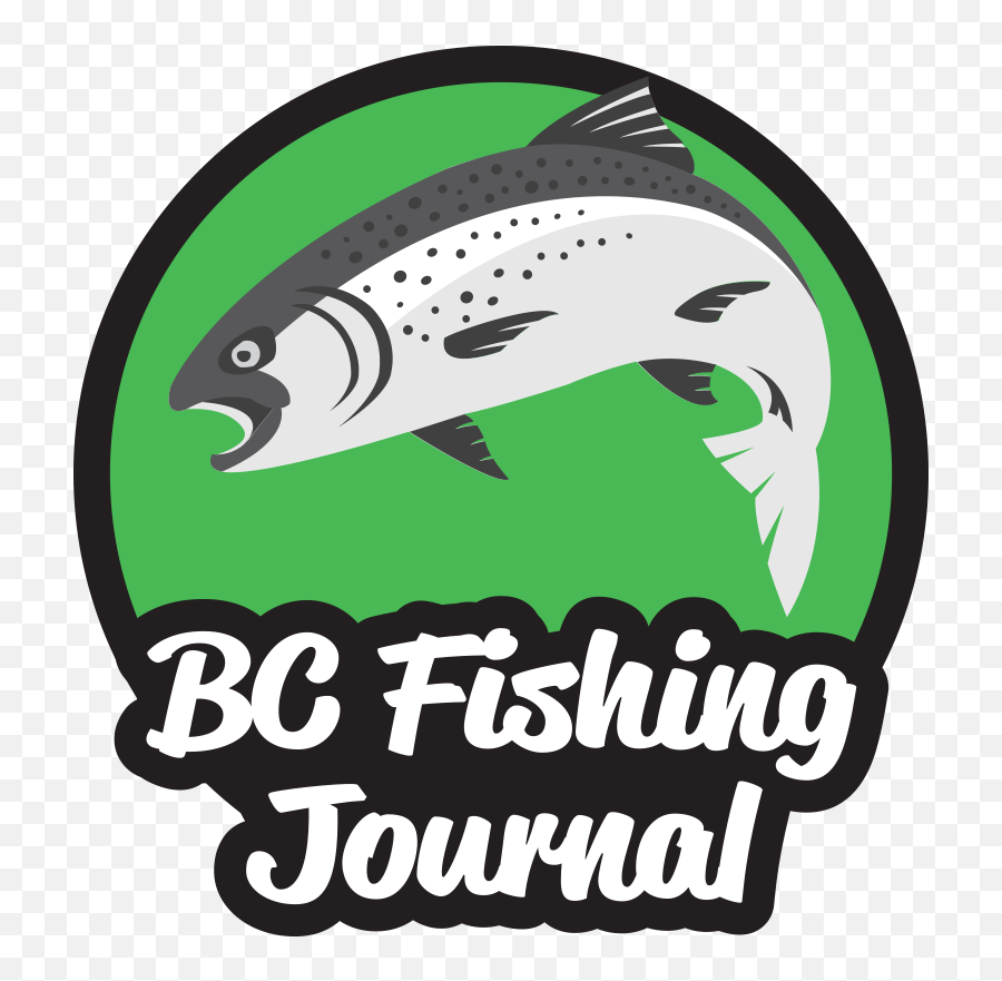 Basic Lake And Pond Fishing Setups - Bc Fishing Journal Salmonids Png,Fishing Bobber Png