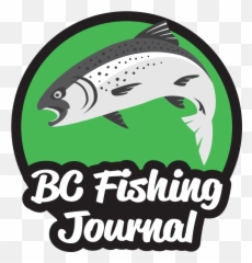 Basic Lake And Pond Fishing Setups - Bc Fishing Journal Salmonids Png,Fishing Bobber Png