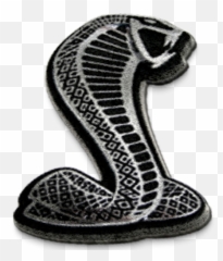 Svt Cobra Logo Transparent Png Image - Mustang Badge