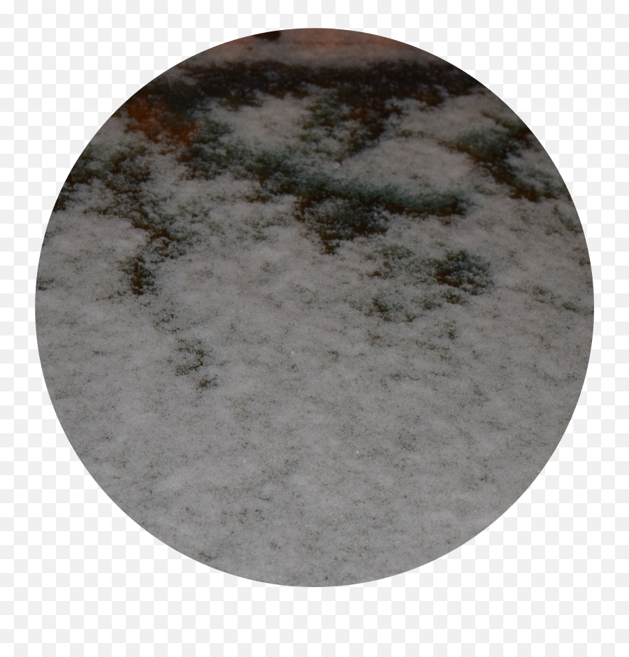 Snow Falling - Mogul Png,Snow Falling Transparent