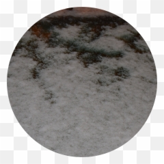 Snow Falling - Mogul png
