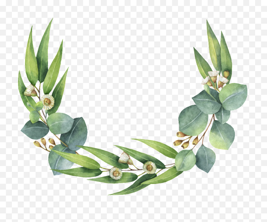 Eucalyptus Wreath Clipart Png - Transparent Gum Leaves Png,Watercolor Green...