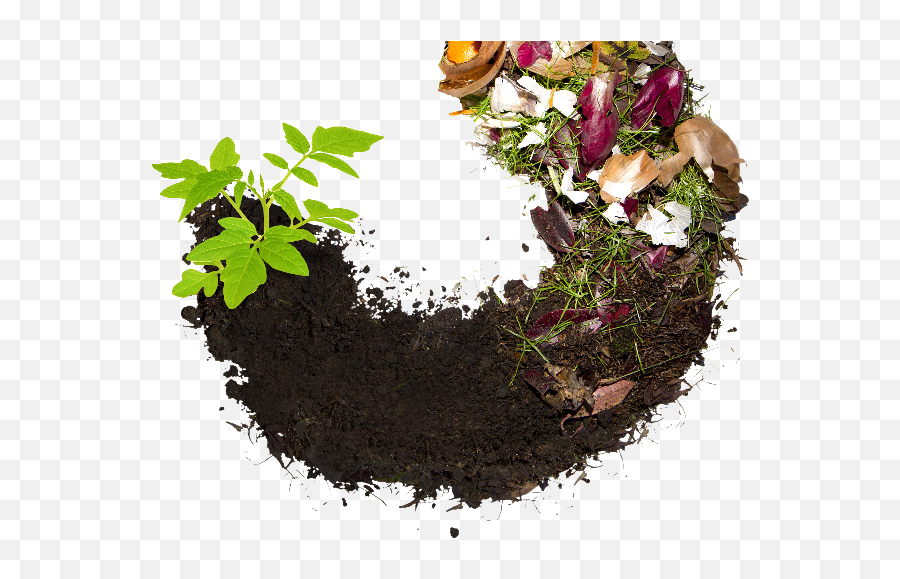 Composting Another Form Of Recycling Bluffton Icon - Composta Png,Composting Icon