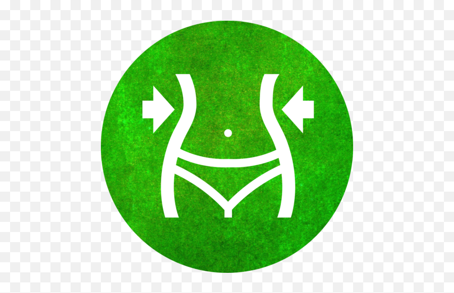 Home Flexiburgercom - Language Png,Overweight Icon