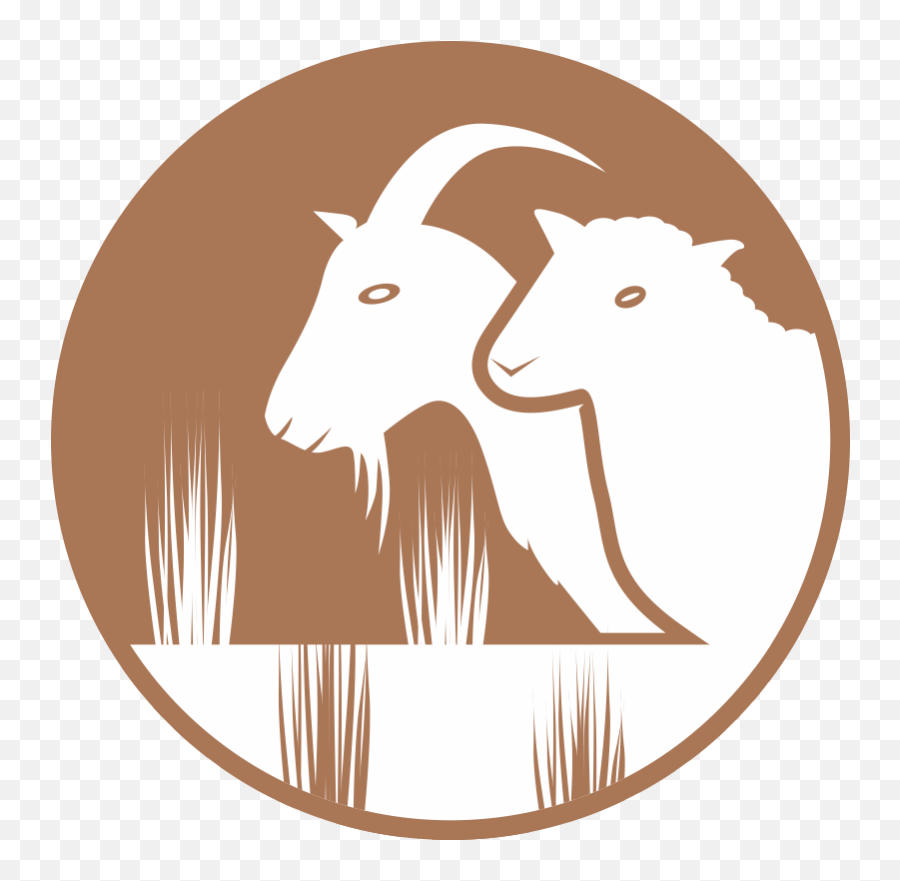Communications Tools And Resources Dryland Systems Png Lamb Icon