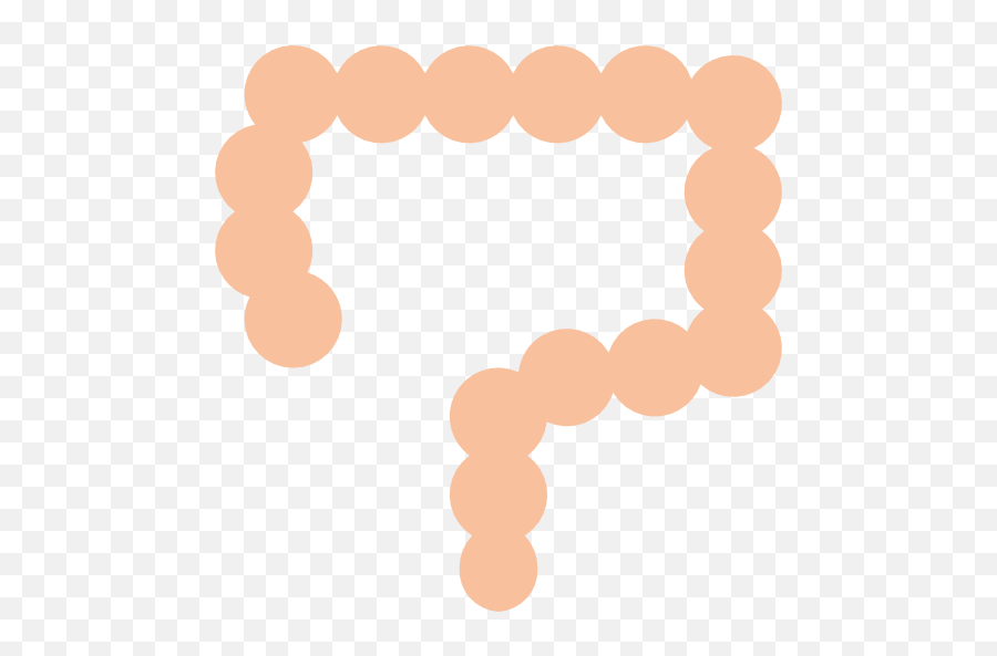 Free Icon Intestines - Dot Png,Colon Icon