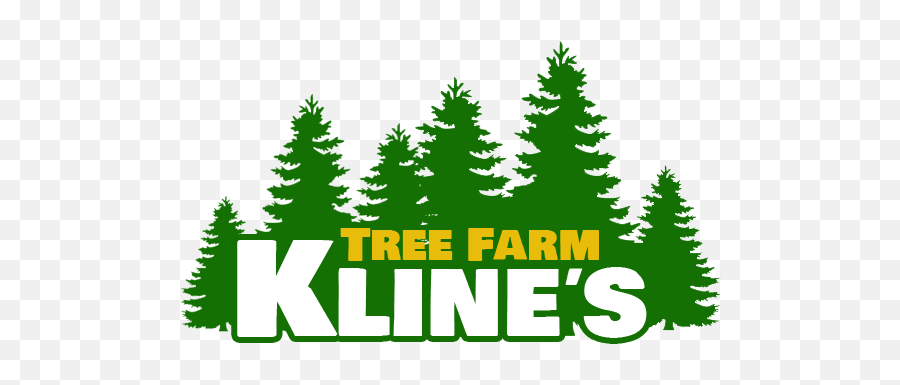 Klineu0027s Tree Farm - Wholesale Evergreen Trees Ball City Of Mendota Heights Png,Evergreen Tree Icon