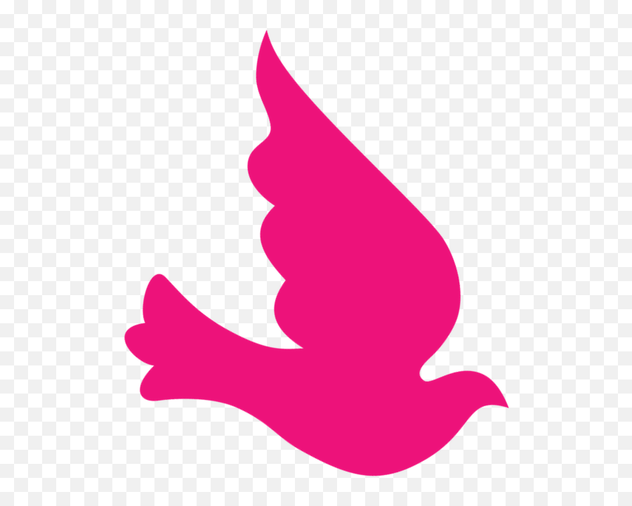 Testimonials U2014 Recovery Chick - Automotive Decal Png,Pink Mercy Icon