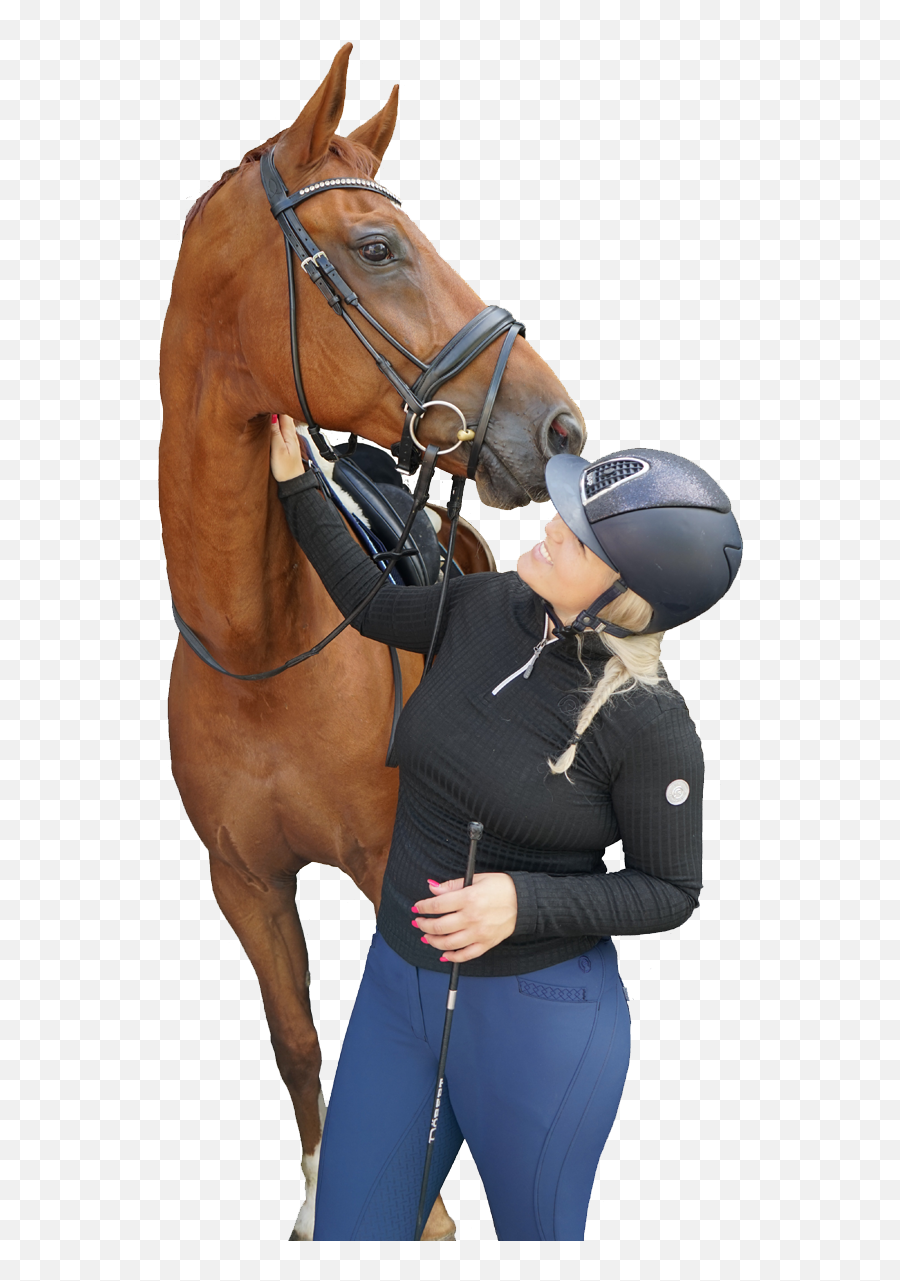 The Training Method For Dressage Riders - Dressagepro Halter Png,Icon Flight Dressage Saddle