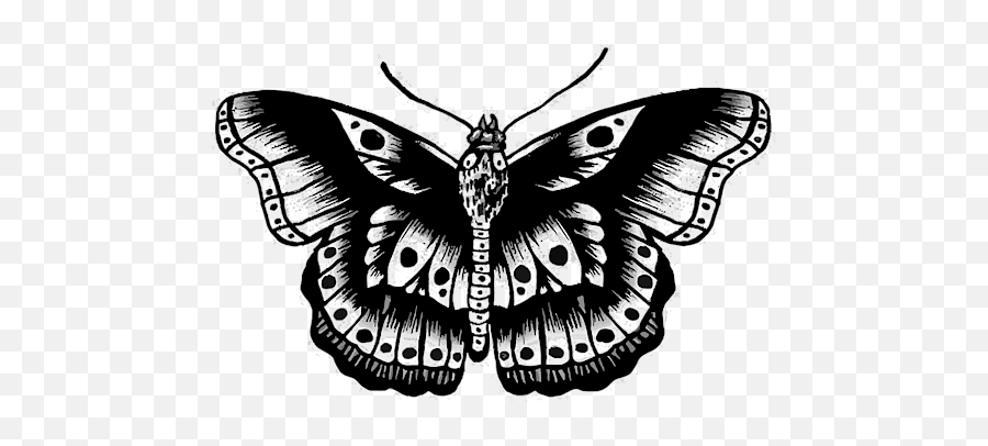 Butterfly Harry Styles Fleece Blanket - Butterfly Harry Styles Png,Harry Styles Icon