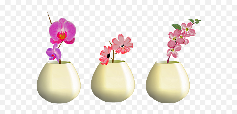 Free Photo Plant Flowers In Vase Nature Pink Orchid Png Icon