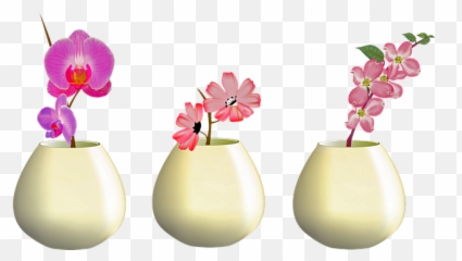 Free Photo Plant Flowers In Vase Nature Pink Orchid Png