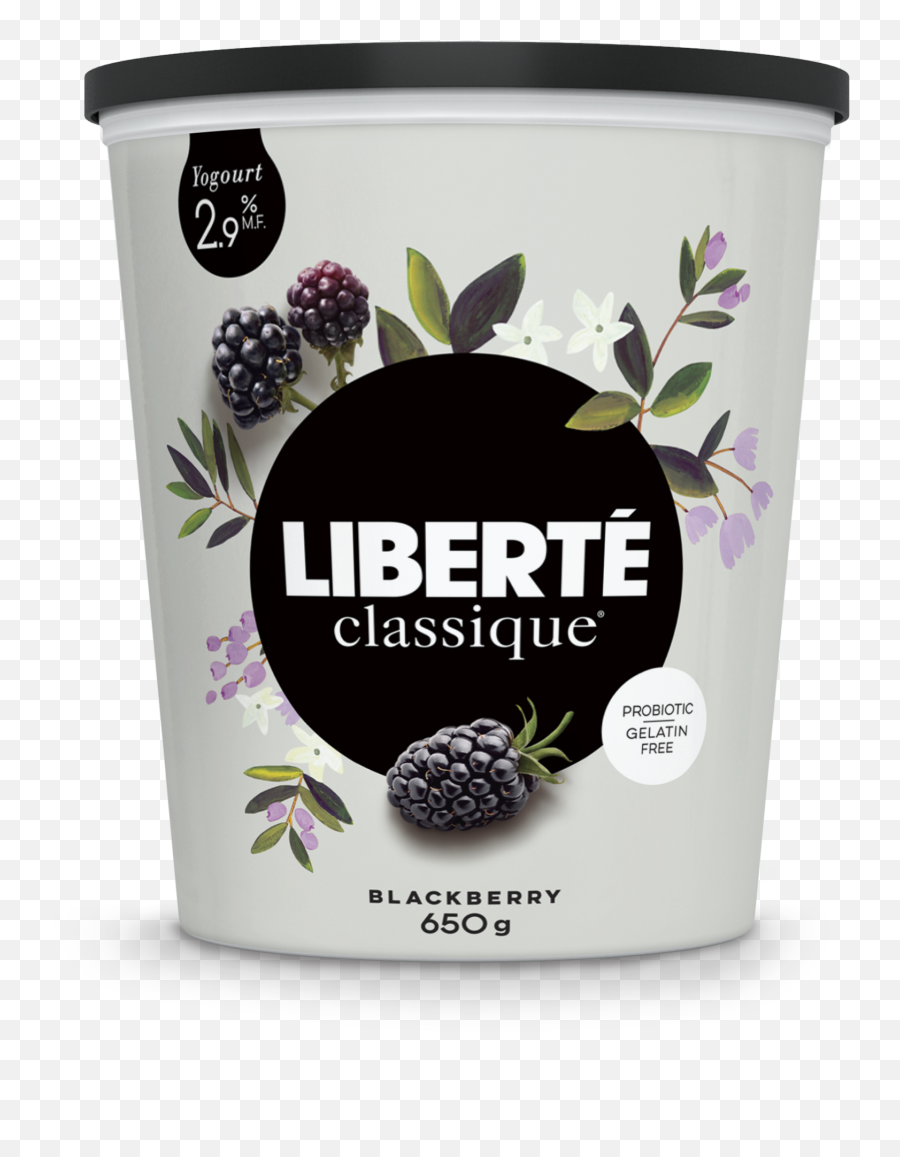 Liberté Classique Blackberry 29 - Liberte Greek Yogurt Plain Png,Blackberry Png