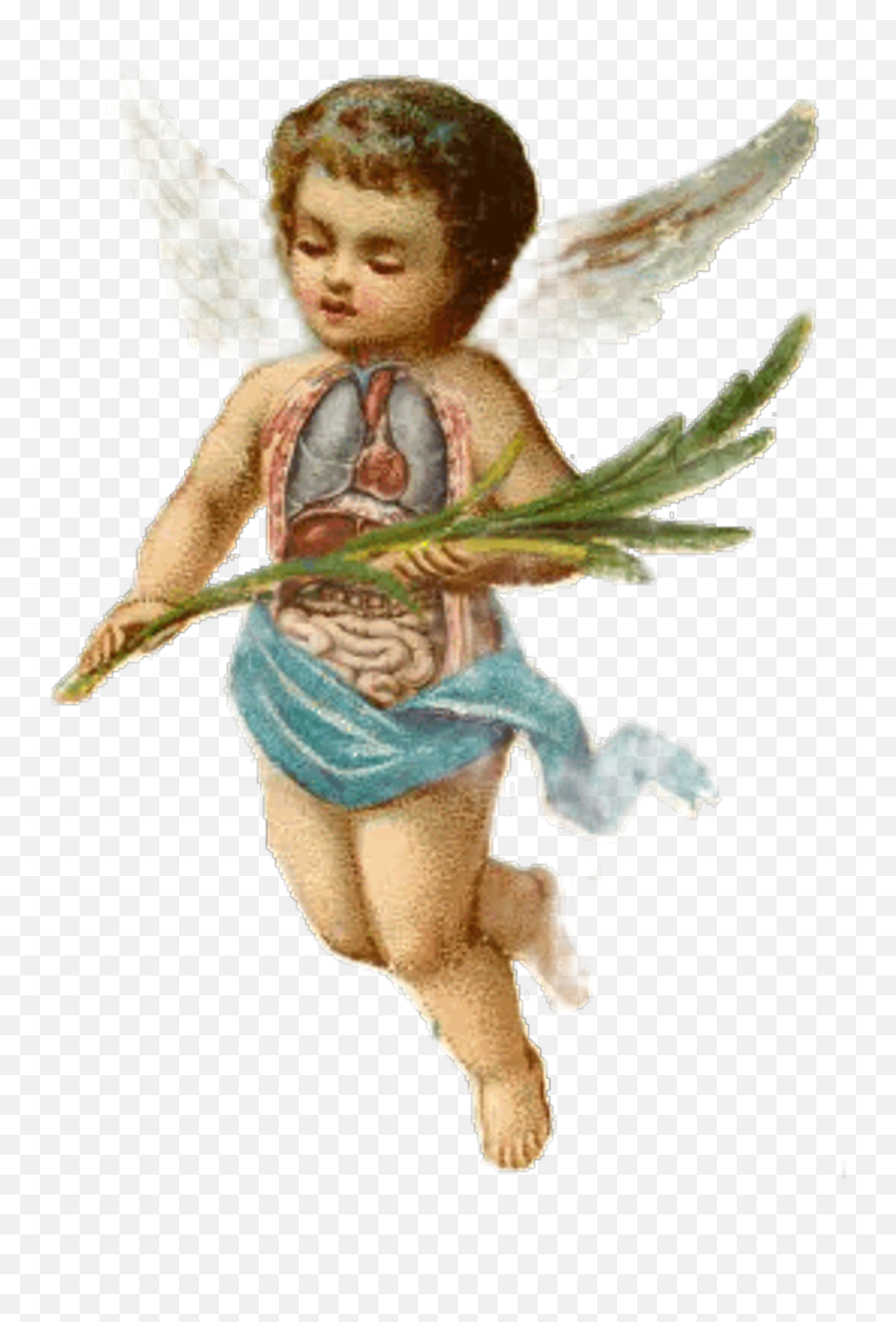 Download Cherub Sticker - Baby Boy Angels Png Image With No Christmas Angel Illustration Vintage,Angels Png