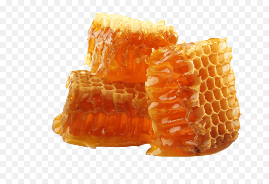 Honey Transparent Image - Transparent Honey Png,Honey Transparent