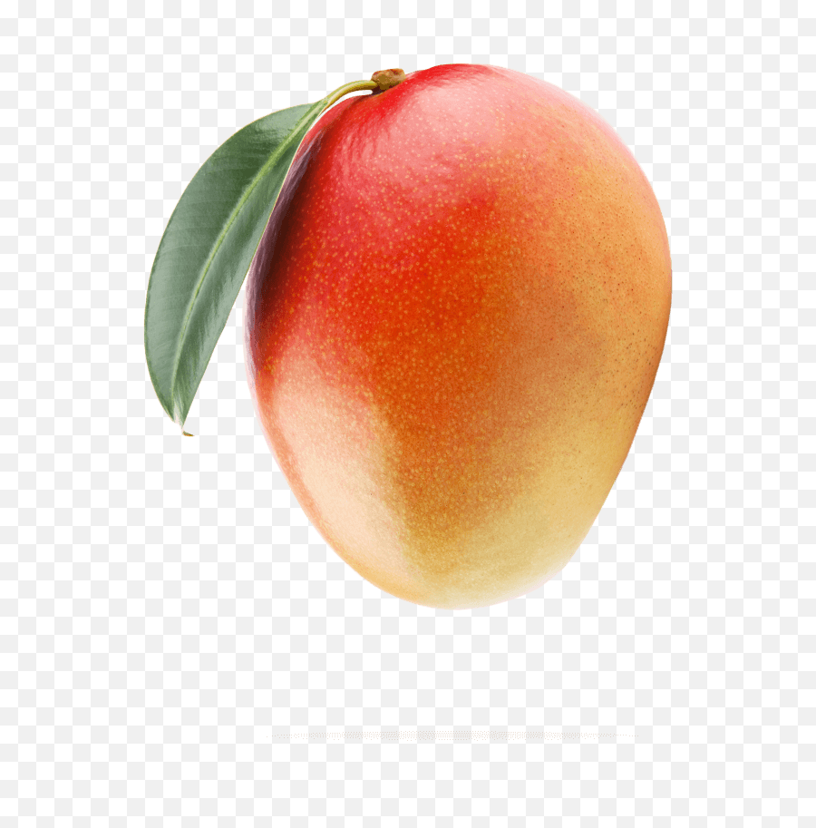 Mango Transparent Png Image With No - Mango,Mango Transparent Background