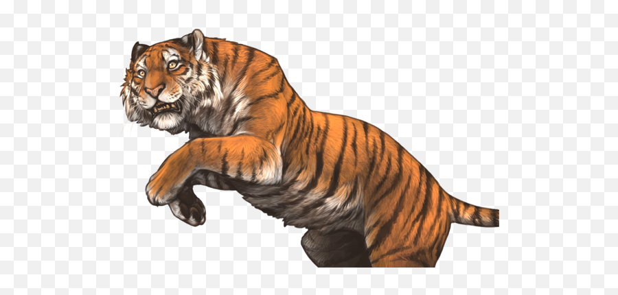Tigon Hype - Lioden Wiki Lioden Tiger Png,Tiger Stripes Png