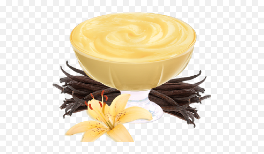 Download Vanilla Clipart Pudding 1560355 - Png Vanilla Custard Png,Vanilla Png