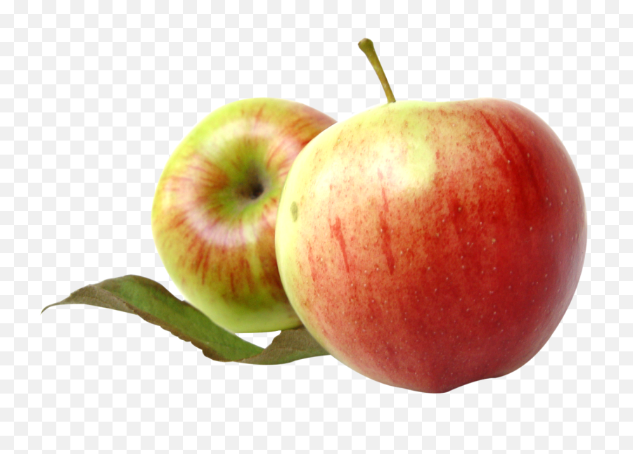 Fresh Apple Png Image - Transparent Png Free Apple,Apple Png