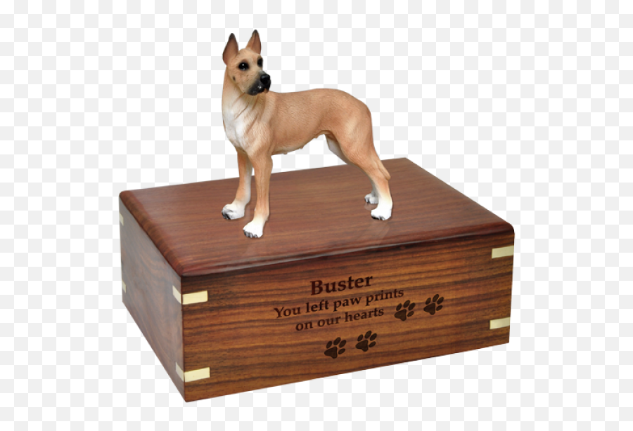 Great Dane Fawn Wood Urn For Pet Dog W - Australian Shepherd Png,Great Dane Png
