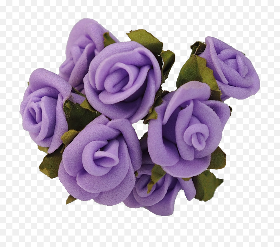 Download Purple Rose Lavender Flower - Violet Rose Png Png Floribunda,Purple Rose Png