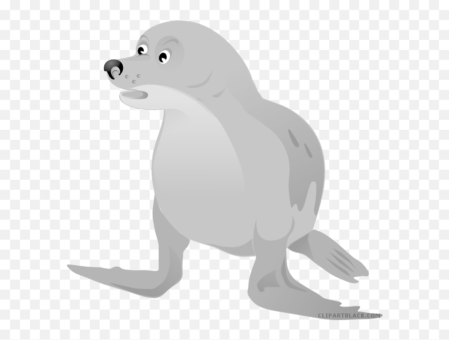 Walrus Background Png Play - Sea Dog Clipart,Walrus Png