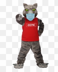 Home - Community College Of Allegheny County Png,Fall Transparent Background