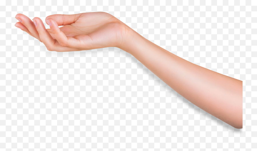 Arm Png Transparent - Human Transparent Arm Png,Arm Transparent
