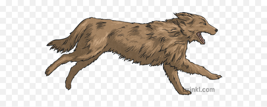 Dog Running Animal Pets Chasing English The Legend Of Gwion - Scottish Deerhound Png,Dog Running Png