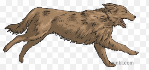 Dog Running Animal Pets Chasing English The Legend Of Gwion - Scottish Deerhound Png,Dog Running Png