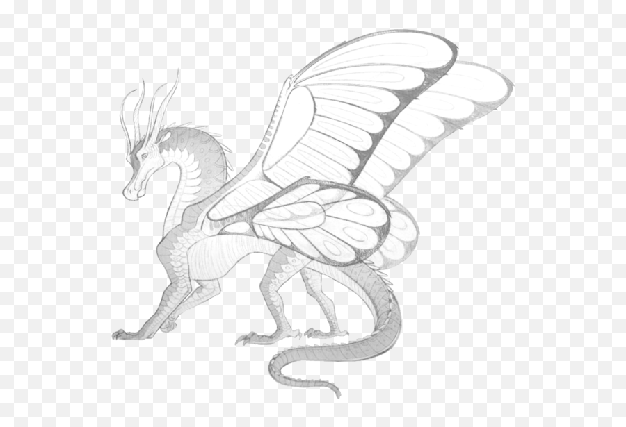 Download Hd Bat Wings - Wings Of Fire Blue Silkwing Wings Of Fire Drawing Png,Bat Wing Png