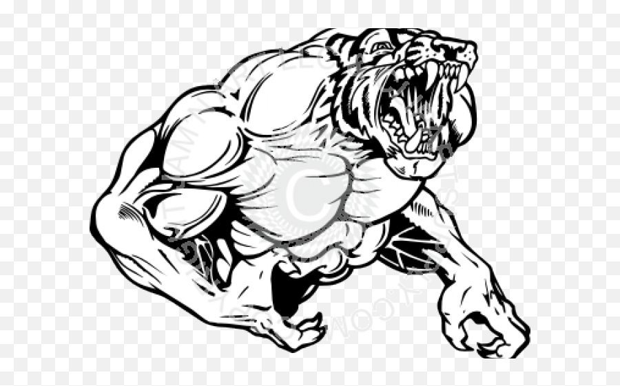 Tiger Clipart Muscle - Muscle Tiger Png Download Full Drawings Of Auburn Tiger Logo,White Tiger Png