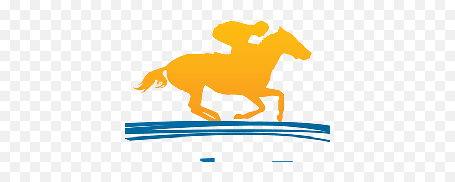 Finish Served Projects - Stencil Of Horses Racing Png,Finish Line Logos