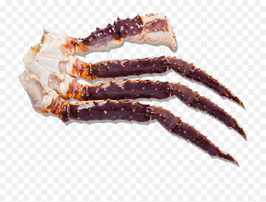 Frozen Raw King Crab Cluster - Raw King Crab Legs Png,Crab Legs Png