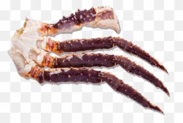Frozen Raw King Crab Cluster - Raw King Crab Legs Png,Crab Legs Png