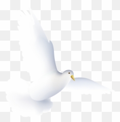 Dove Wedding Icon Png Transparent Background Free Download - Stickers
