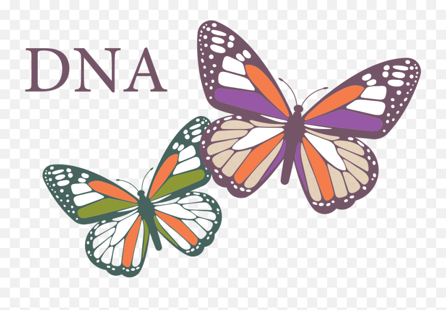 Monarch Nucleic Acid Purification Kits Neb - Monarch Butterfly Plus Dna Png,Monarch Butterfly Icon