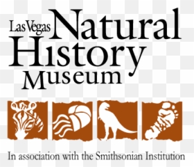 Lvnhm Virtual Auction Powered By Givesmart - Museo Historia Natural Las Vegas Png,Minecraft Icon Fabric By The Yard